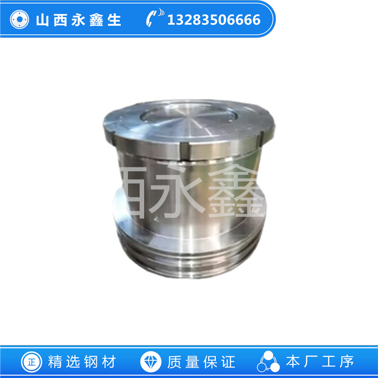 活塞（帶鎖套）