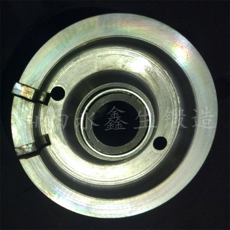 軌道吊行走車(chē)輪鍛件